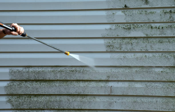 Mold Removal Process in Ilwaco, WA
