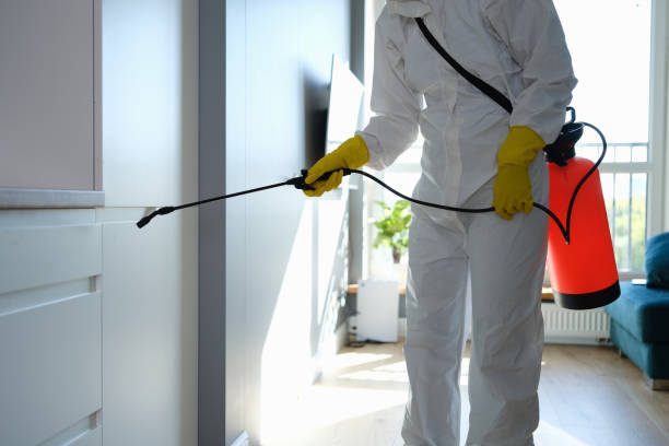 Ilwaco, WA Mold Removal Company
